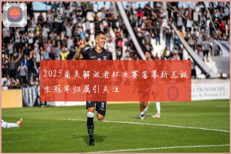 2025南美解放者杯决赛落幕新王诞生冠军归属引关注