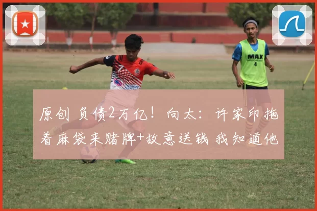 原创 负债2万亿！向太：许家印拖着麻袋来赌牌+故意送钱 我知道他想干啥