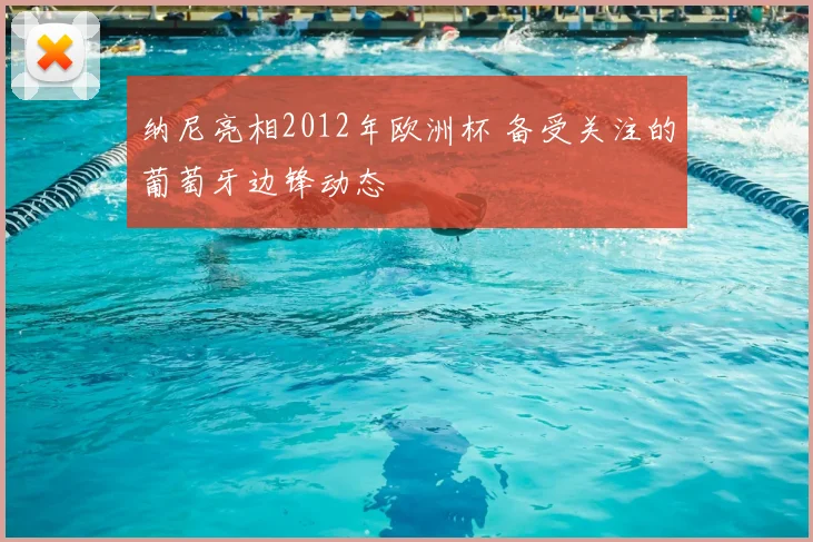 纳尼亮相2012年欧洲杯 备受关注的葡萄牙边锋动态