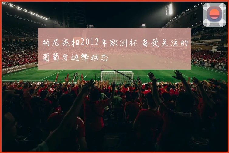 纳尼亮相2012年欧洲杯 备受关注的葡萄牙边锋动态